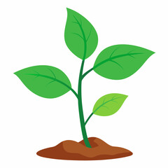 Young plant art vector illustration