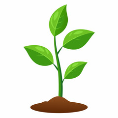 Young plant art vector illustration