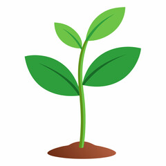 Young plant art vector illustration