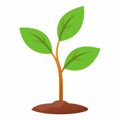 Young plant art vector illustration