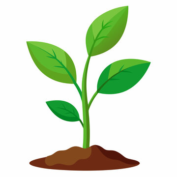 green sprout growing from soil clip art preview