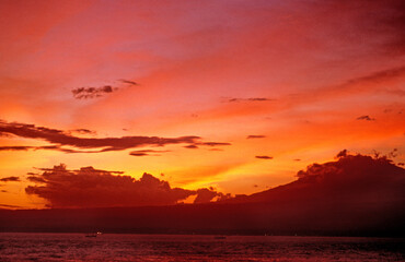 Paradies Bali 