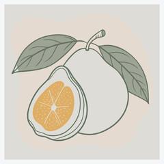 Vibrant Guava Vector Illustration