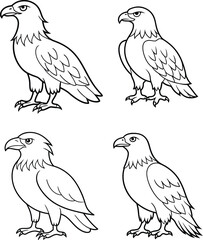 Eagle line art coloring page template