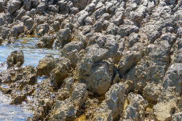 Close-up of large rocks on shore, waterscape in background
