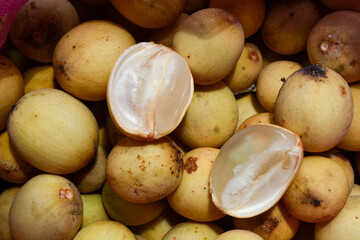Ripe duku fruit. duku fruit in pink sack with leaves isolated on white. With clipping path. Full depth of field.