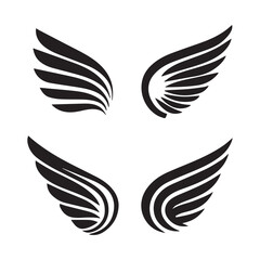 Collection of wings with white background