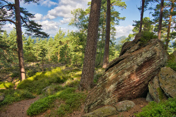 Mystischer Felsenpfad in den Vogesen oberhalb von La Vancelle