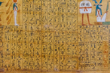 Egyptian ancient papyrus with the different pictures and hieroglyphics