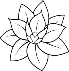 outline drawing, floral flower outline, flat design,