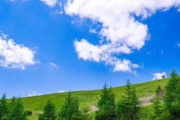 Obraz premium 夏の車山高原