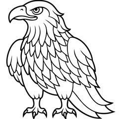 Obraz premium Detailed Line Art Illustration of an Eagle