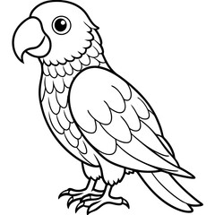 Fototapeta premium Detailed Line Art Illustration of a Parakeet