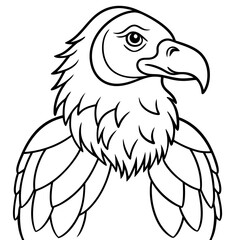 Obraz premium Detailed Line Art Illustration of a Condor
