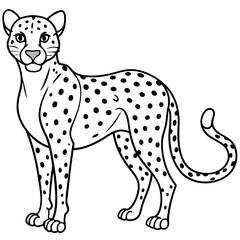 Fototapeta premium Detailed Line Art Illustration of a Cheetah