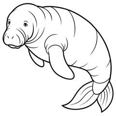 Fototapeta premium Detailed Line Art Illustration of a Manatee
