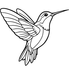 Obraz premium Detailed Line Art of a Hummingbird