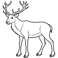 Obraz premium Detailed Line Art Illustration of a Caribou