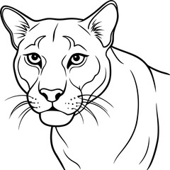 Detailed Line Art Illustration of a Cougar
