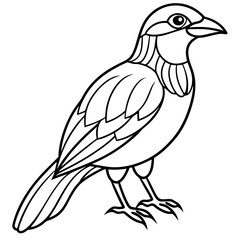Obraz premium Detailed Line Art Illustration of a Bird
