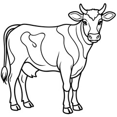 Detailed Line Art Illustration of a Cow