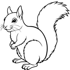 Obraz premium Detailed Line Art of a Squirrel Illustration