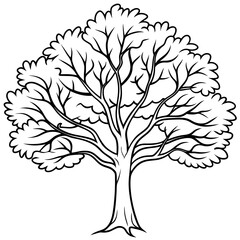 Detailed Line Art of a Tree Illustration