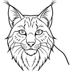 Obraz premium Detailed Line Art Illustration of a Lynx