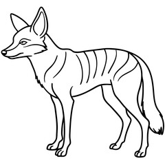 Detailed Line Art Illustration of a Jackal
