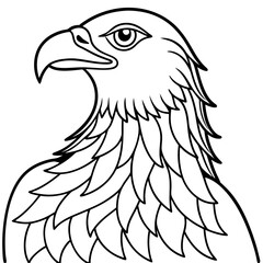 Obraz premium Detailed Line Art Illustration of an Eagle