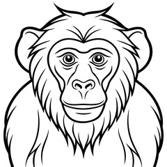 Fototapeta premium Detailed Line Art Illustration of a Monkey