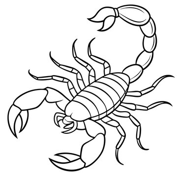 recommend clip art: Detailed Line Art of a Scorpion Illustration