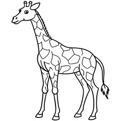 Obraz premium Detailed Giraffe Line Art Illustration