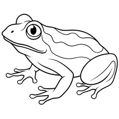 Naklejka premium Detailed Line Art Illustration of a Frog