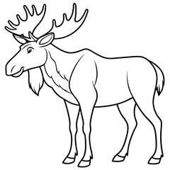 Obraz premium Detailed Line Art Illustration of a Moose