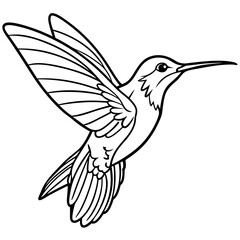 Obraz premium Detailed Line Art of a Hummingbird