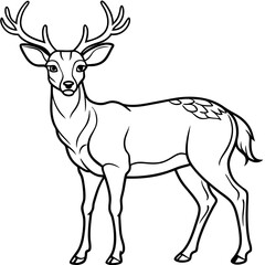 Obraz premium Detailed Line Art Illustration of a Majestic Deer
