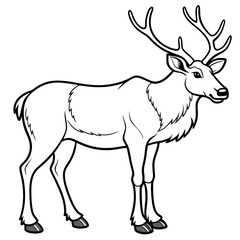 Fototapeta premium Detailed Line Art Illustration of a Caribou