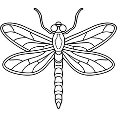 Detailed Line Art of a Dragonfly