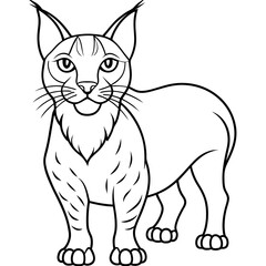 Obraz premium Detailed Line Art Illustration of a Lynx
