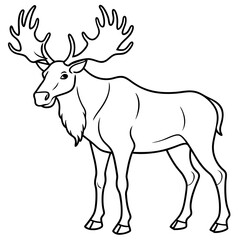 Obraz premium Detailed Line Art Illustration of a Moose