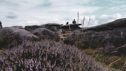landscape in the mountains