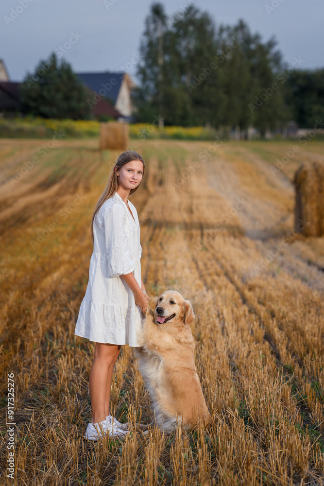 Wall mural beautiful girl with golden retriever dog in wheat field at sunset