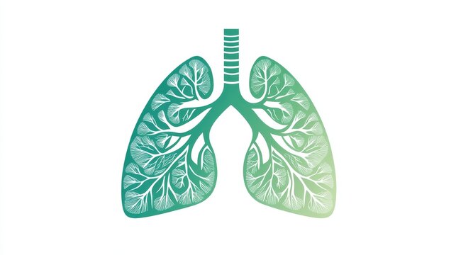 Flat design human lungs with green lines on white background symbolizing clean air and health