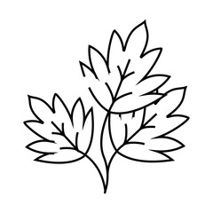 parsley leaves line icon vector. parsley leaves sign. isolated contour symbol black illustration