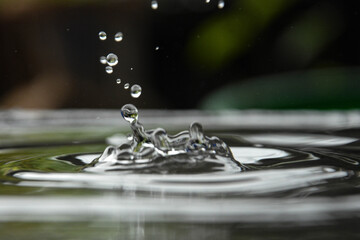 water drop splash