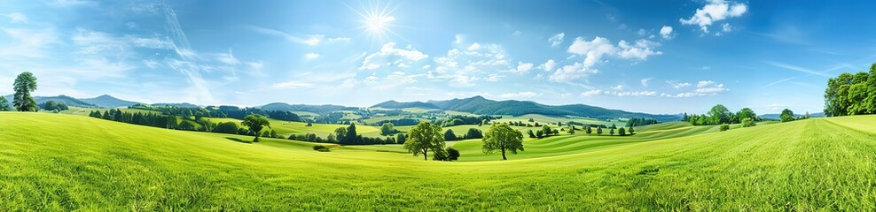 A panoramic view of a lush green meadow with a blue sky and white clouds in the background. The sun shines brightly and trees line the horizon.