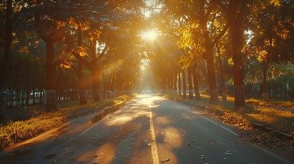 A serene drive at golden hour, with trees lining the path, the sunlight casting dappled patterns on the road, the warm hues creating a peaceful and enchanting atmosphere, natural look, hd quality.