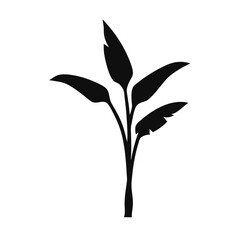 a minimal and simple banana plant silhouette, isolated white background