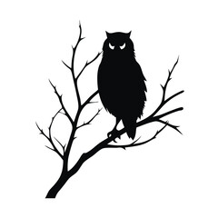 Fototapeta premium an owl sitting on a branch on a white background, isolated white background 